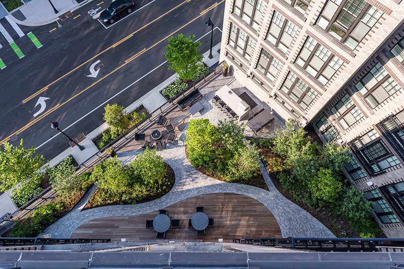 Rooftop garden at the Baltimore Peninsula by Live Green Landscape Associates.